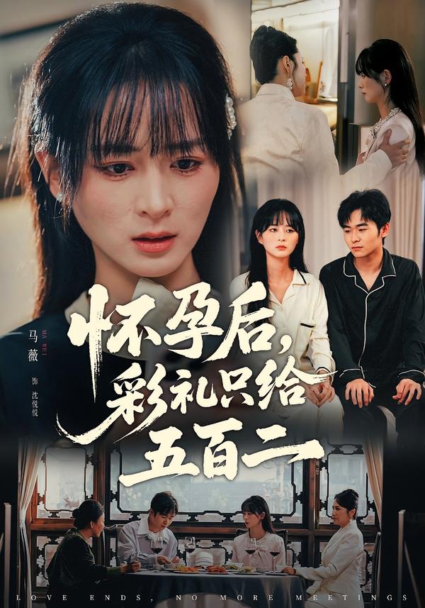 怀孕后，彩礼只给五百二(全集)