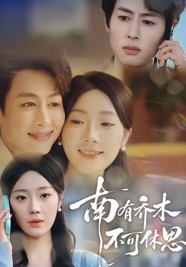 南有乔木，不可休思(全集)