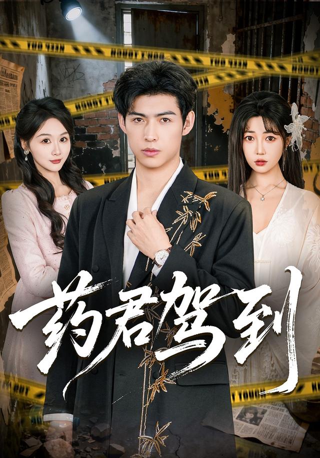 药君驾到(全集)